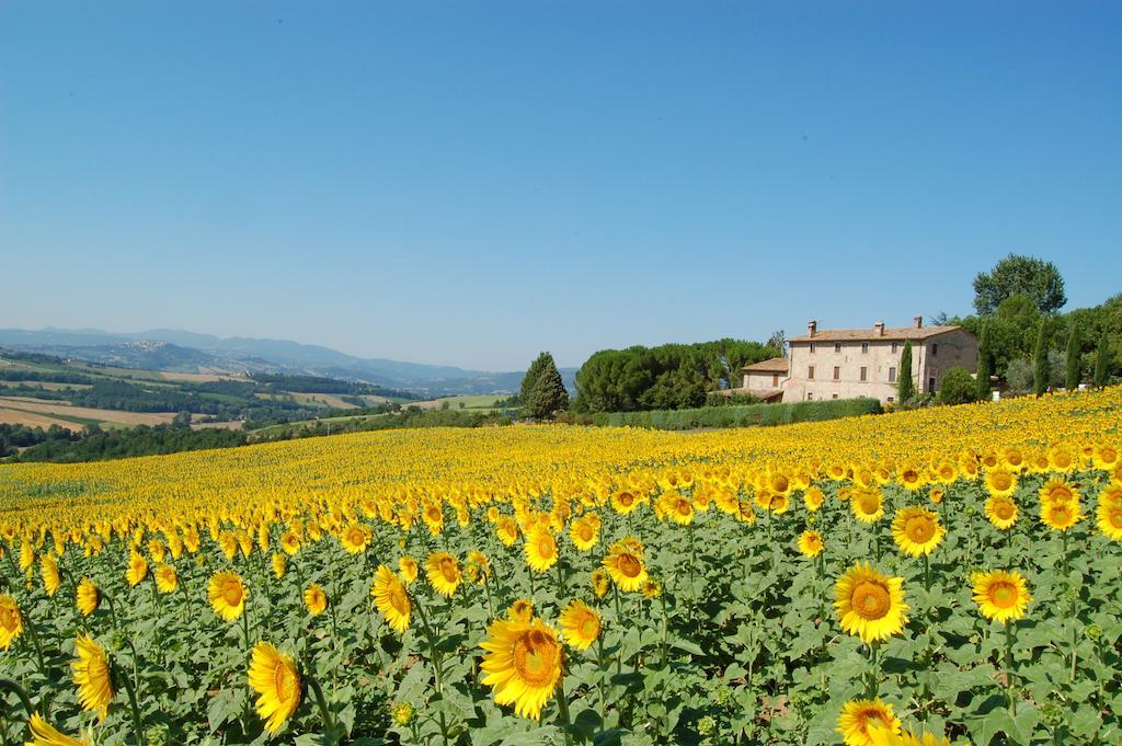 Agriturismo Casale Dei Frontini San Terenziano Extérieur photo