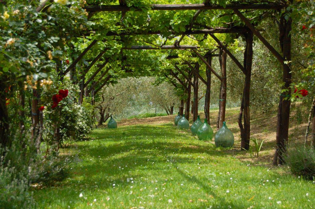 Agriturismo Casale Dei Frontini San Terenziano Extérieur photo