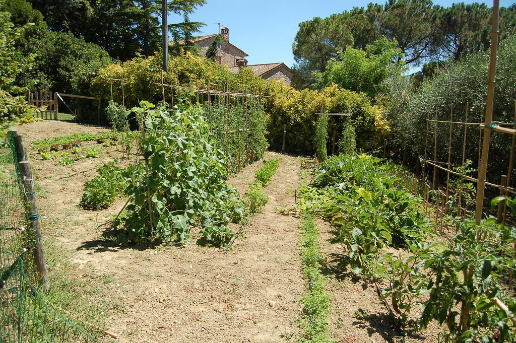 Agriturismo Casale Dei Frontini San Terenziano Extérieur photo