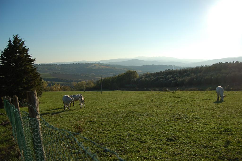 Agriturismo Casale Dei Frontini San Terenziano Extérieur photo