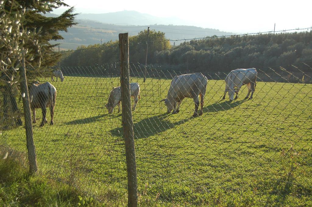 Agriturismo Casale Dei Frontini San Terenziano Extérieur photo