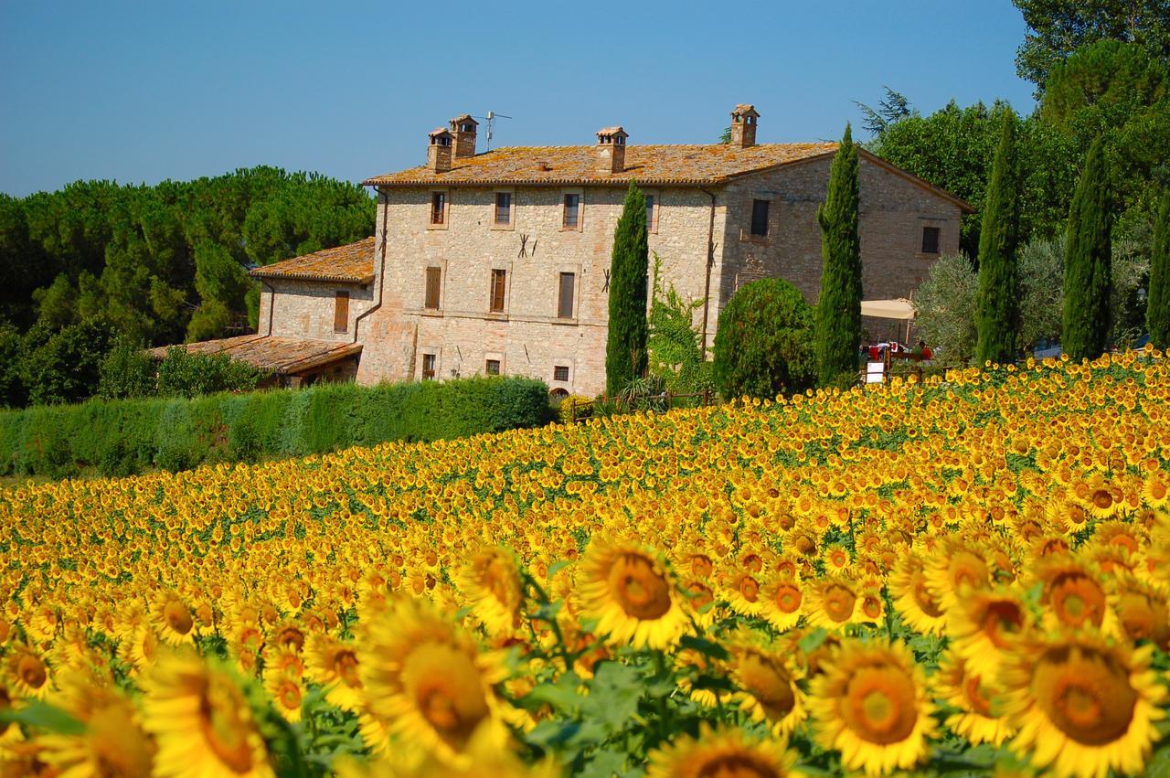 Agriturismo Casale Dei Frontini San Terenziano Extérieur photo
